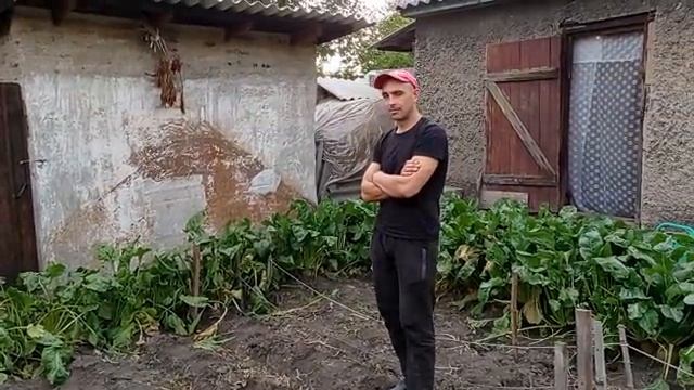 Новый Свинарник Почти Готов,У Ивана в гостях
