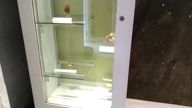 Museum Sangiran, The homeland of Java man, tempat sejarah manusia purba terlengkap di dunia смотреть онлайн