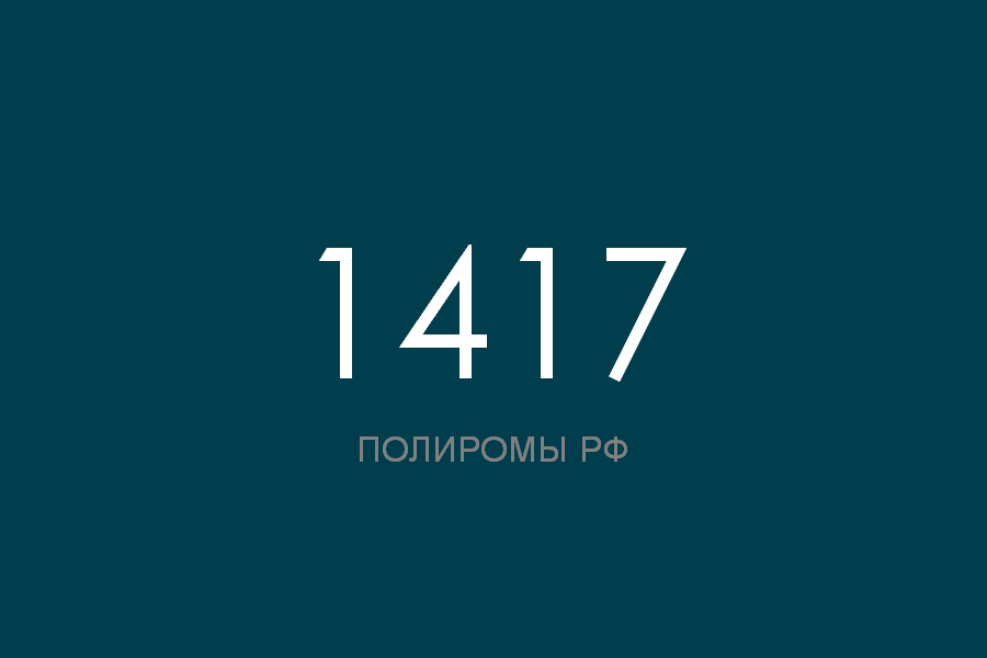 ПОЛИРОМ номер 1417 смотреть онлайн