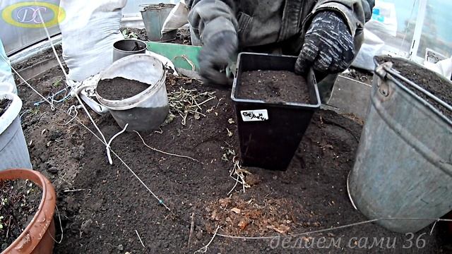 Как вырастить огурцы зимой.Какие огурцы выращивать на подоконнике.Как получить хороший урожай смотреть онлайн