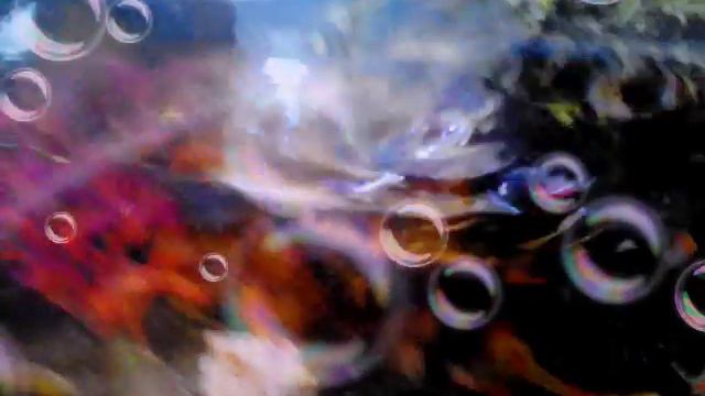 Мой маленький друг 🐢🐢🐢🐢🐢🐢🐢 смотреть онлайн