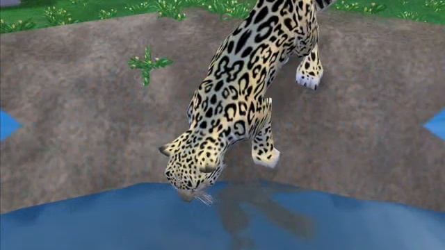 Alipine Wildlife Park-Zoo tycoon 2 смотреть онлайн