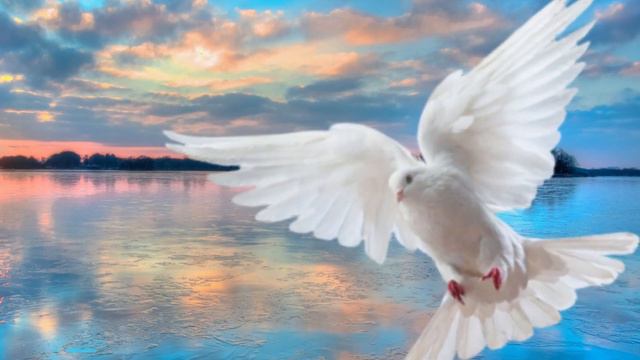 Oracion al Espiritu Santo cada dia | Hoy 2023 | en el Cenaculo смотреть онлайн