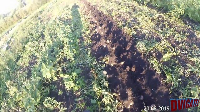 Бетонные диски и окучник - копка картофеля, Нева мб23 смотреть онлайн