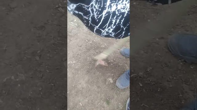 Как я выкопал слиток золота