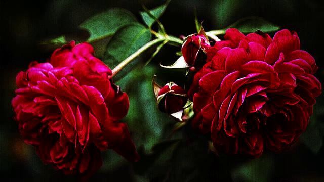 Слушать новую русскую песню для сна - класс! смотреть онлайн