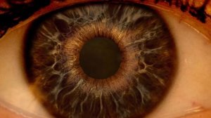 ВОТ ПОЧЕМУ ЖЕНСКОЕ ТЕЛО ПРЕКРАСНО И УНИКАЛЬНО