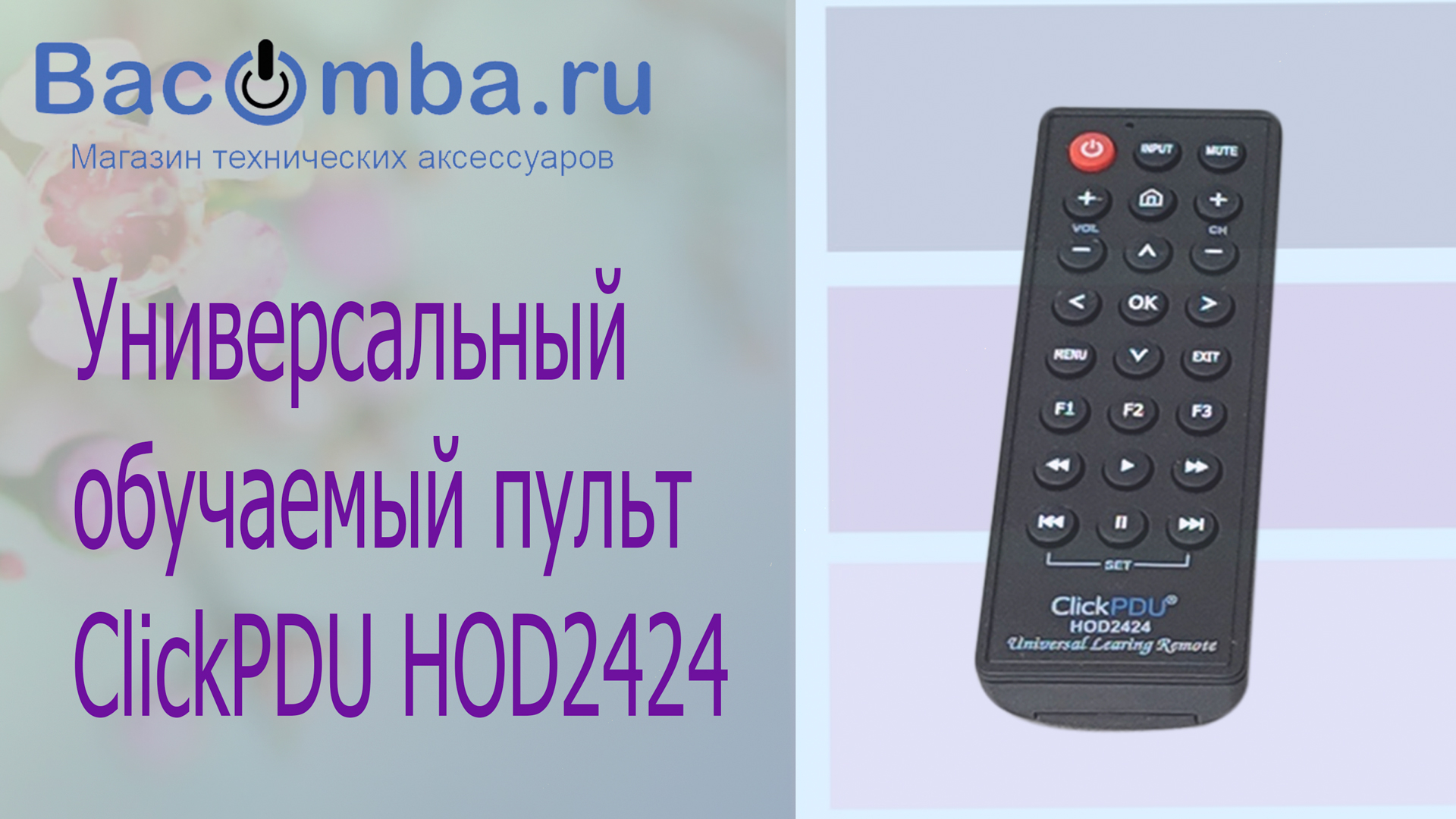 Обучаемый пульт 24 кнопки HOD2424 смотреть онлайн