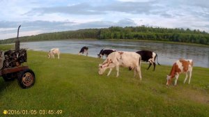 Наше лето к нам пришло!