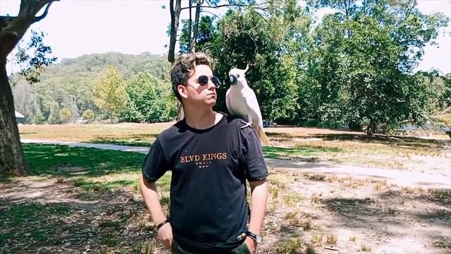 Sydney Secret Waterfalls Tour From Australia Secret Tours (aaasecrettours.com)