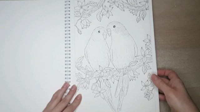 Обзор раскраски Enchanted Forest line art by Алёна Лазарева смотреть онлайн