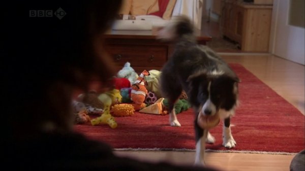 BBC Horizon - The Secret Life of the Dog (2010)