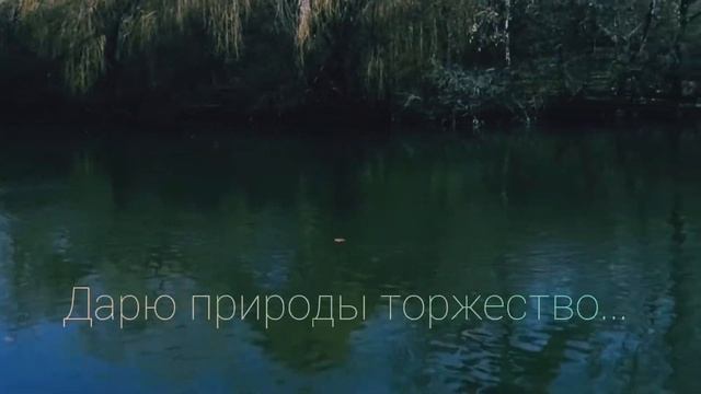 Тепло души моей.. ❤️ смотреть онлайн