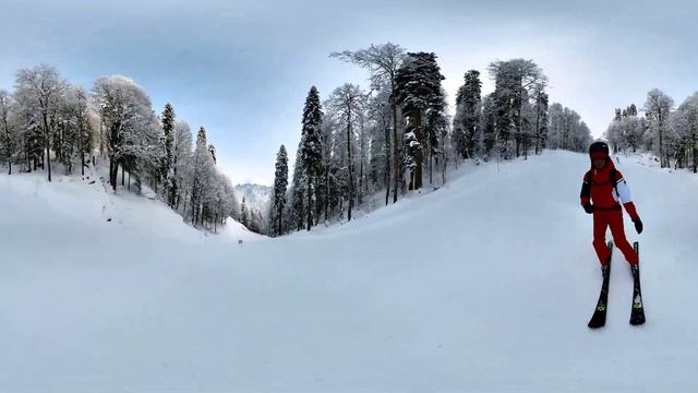 Аброр 360 8 02 23 смотреть онлайн
