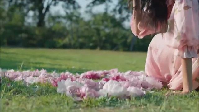 Dolce&Gabbana   Dolce Peony