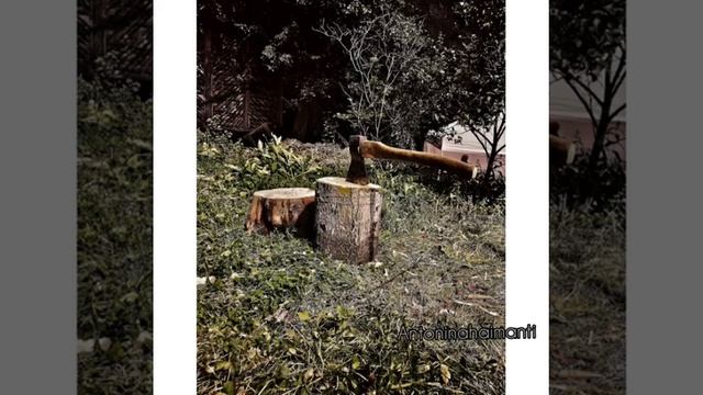 Дигория сон мой. ???автор стихотворения и видео Антонина Хайманти . смотреть онлайн