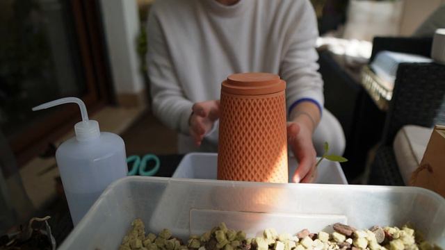 Come separare un keiki dalla pianta madre Aggiornamento sulla Ludisia смотреть онлайн