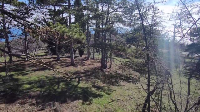 Продажа участка 7 сот ИЖС, 700 м от моря! +79787051581 смотреть онлайн