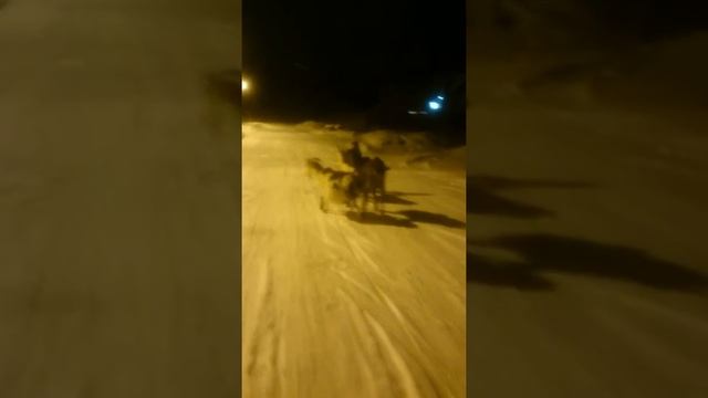 Козы и дети, вернее и внуки. Общение детей с животными приносит пользу обеим сторонам. смотреть онлайн