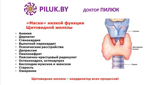 Маски и первые признаки гипотиреоза смотреть онлайн