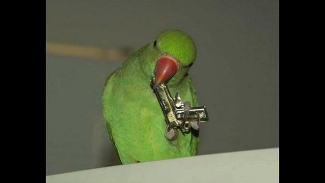 Kesha Popugaev - Это конец... И правда конец? А может быть и нет! смотреть онлайн