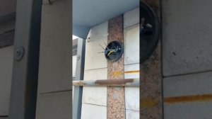 Поиск обрыва кабеля. MS6818