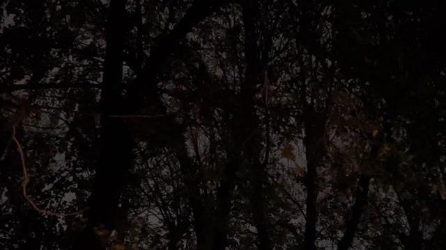 Капли - Дора (cover by лума) смотреть онлайн