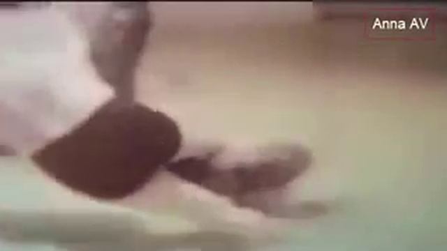 Giant Anaconda Eats Man Alive Giant Snake Eats Man Giant Python Snake Attack Girls HD смотреть онлайн