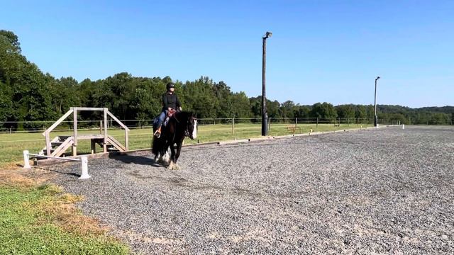 WDAMI Battle of the Saddles 23-239 INT2-A Intro Ryan Robbins #2485 смотреть онлайн