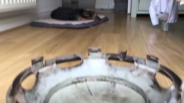 LTI review R16 смотреть онлайн