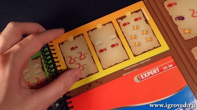 Деловые жуки. Обзор настольной игры-головоломки от Игроведа..mp4 смотреть онлайн