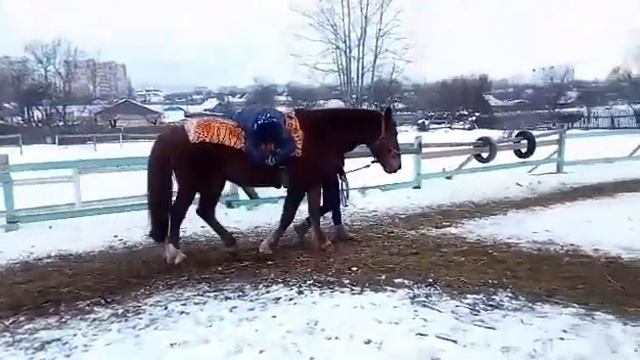 Я и гранд иппотерапия смотреть онлайн