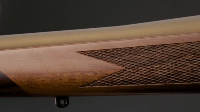 Weatherby Vanguard True North Rifle