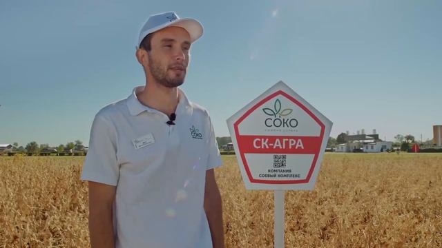 сорт сои СК Агра, основной посев 2020 смотреть онлайн