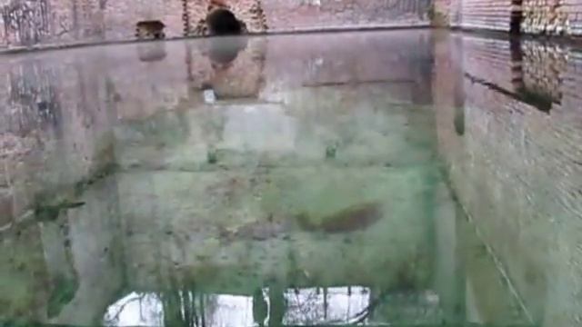 Парамоновские склады, Ростов-на-Дону, достопримечательность смотреть онлайн