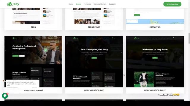 Jasy - Horses and Stables WordPress Theme animal care theme racing Miyazaki смотреть онлайн