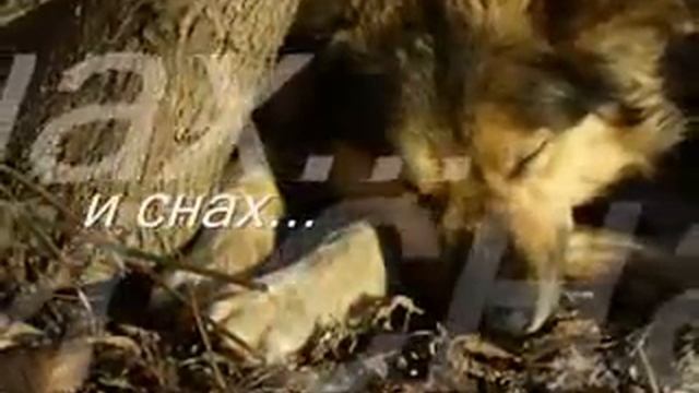 Мост радуги