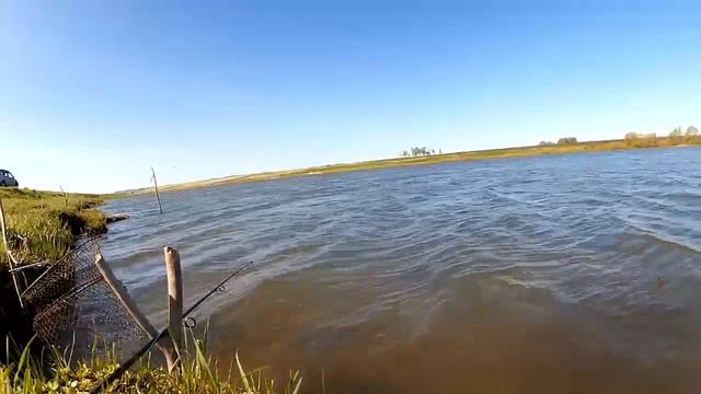 Онлайн ловля карася на фидер в сильный северный ветер на пруду в мае смотреть онлайн