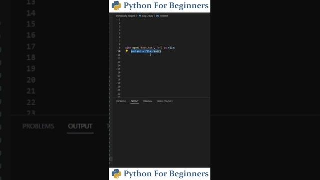 How To Read A Text File In Python | Python For Beginners смотреть онлайн