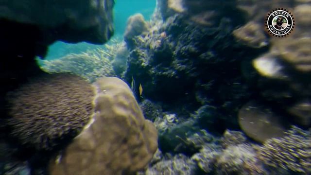 PORT BARTON PALAWAN PHILIPPINES ISLAND HOPPING | TRAVEL GUIDE | | PHILIPPINES TRAVEL | смотреть онлайн