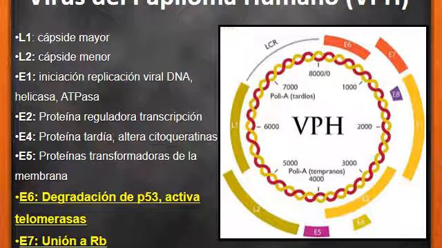 Cáncer cervicouterino (CaCu), Prevención y vacunación - Caso clínico ENARM смотреть онлайн