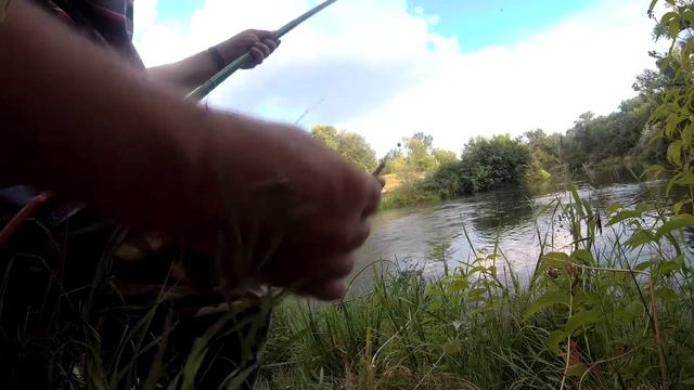 как ловить рыбу в августе.Ловля плотвы и другой рыбы на реке! рыбалка в августе. смотреть онлайн