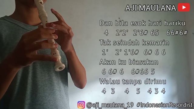 🔴Not Angka Early Summer - TANPA KAMU || Kau tarik ulur perasaanku (Recorder Cover) смотреть онлайн