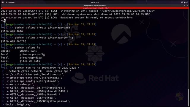 Linux | Gitea: Monta tu propio servidor git. смотреть онлайн