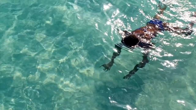 Isla Saona Republica Dominicana - Dominican Republic Travel Micro Meditation смотреть онлайн