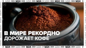 Эксперты рассказали о подорожании кофе в России - Москва 24