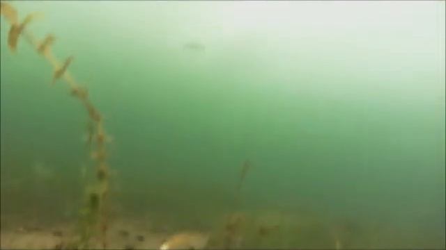 Иткуль 6 04 2014 г смотреть онлайн
