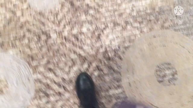 going to triad anime con in my raiden shogun cosplay // genshin impact смотреть онлайн