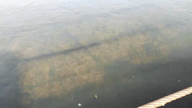 Прозрачная река рыбки смотреть онлайн