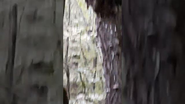 увидеть такое вечерком:капец!чемпион по бегу,однозначно🤭🤔😂